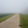Foggy Morning Bike Ride