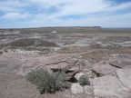 Petrified Forest & Painted Desert