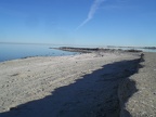 Beach at the Salton Sea