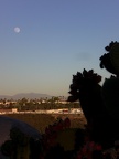 Moon over Balboa