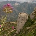 View from trails above Montserrat