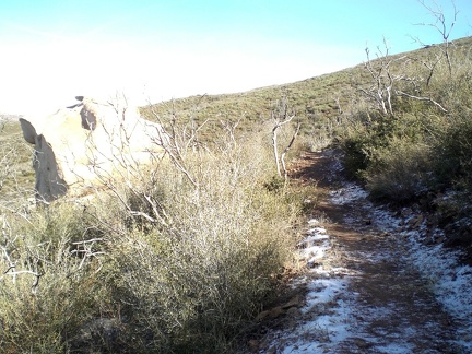 Snowy Trail