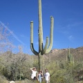 Hikers under Cactus