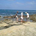 Palmers in the Tidepools