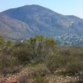 Cowles from Rim Trail
