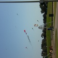 Kites at Mission Bay