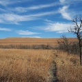 Konza Prairie