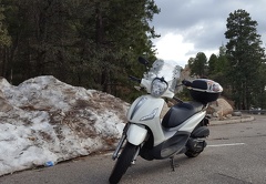 Scooter is Cold Atop Mt. Lemmon