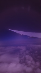 The Purple Plane