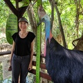 You Must Be This Tall To Ride The Cassowary