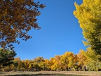 Canyon de Chelly